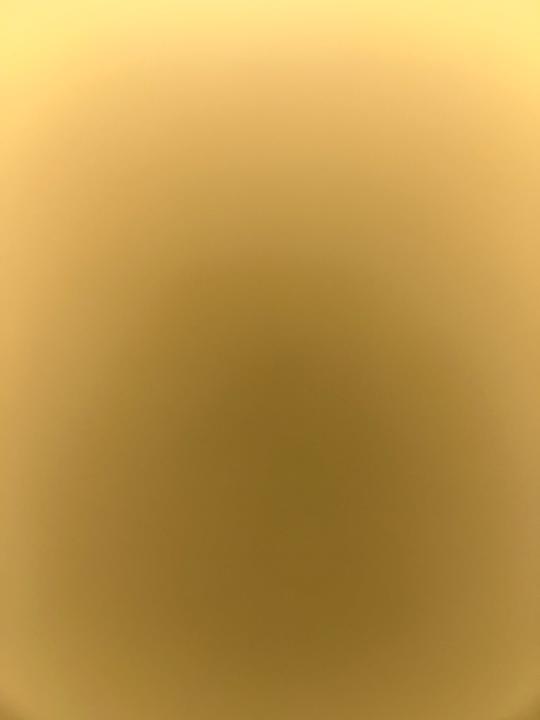 ליאל ניסנלר