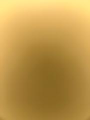 ליאל ניסנלר