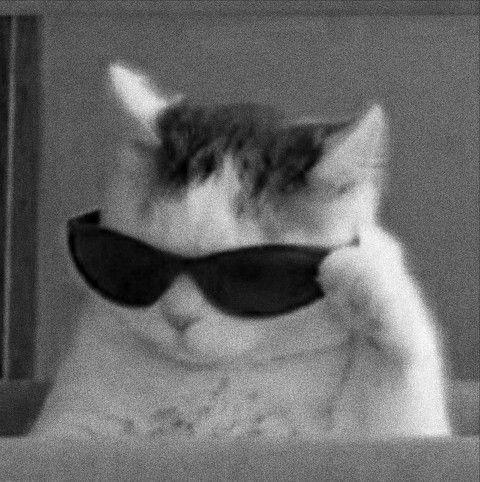 Ztiw Z