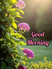 Anil K P Mathai
