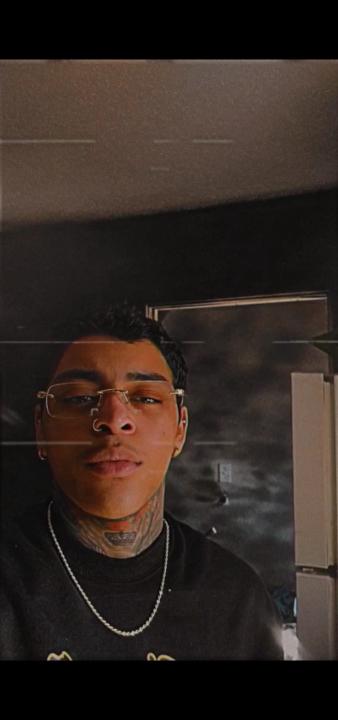 Bruno Kingston