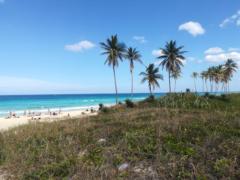 Yensi estefani Royero rodriguez