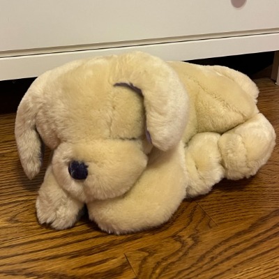 Kannan Venkateswaran