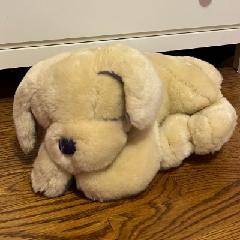 Kannan Venkateswaran