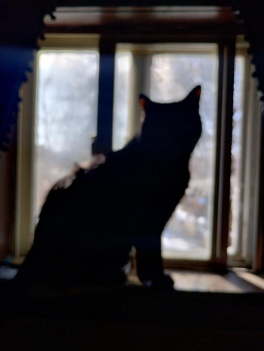 Christina Santavicca