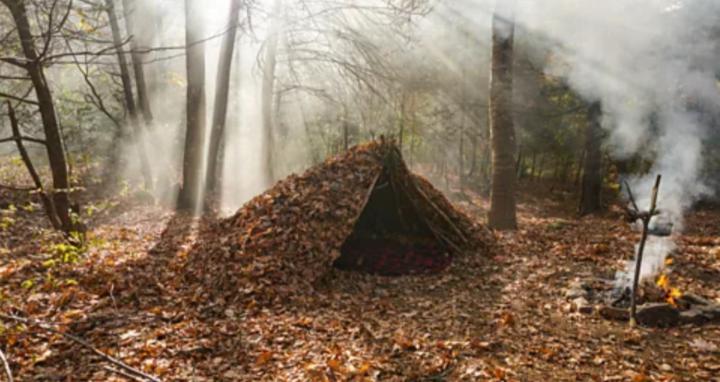 Basic survival skills