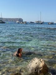 María Poyatos Garrido