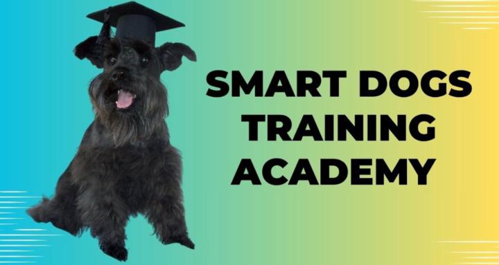 Smart Dogs Training Academy 