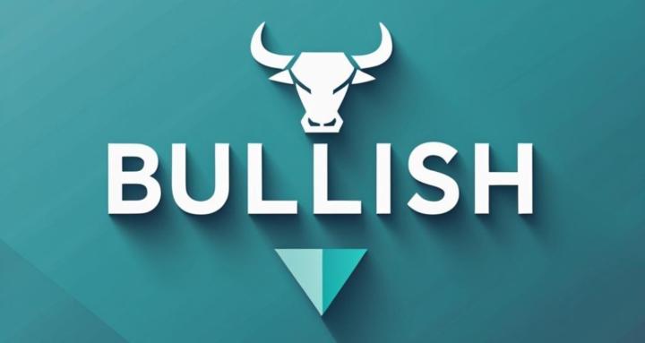 BULLSH Platinum