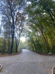 Khadeja Ghannam