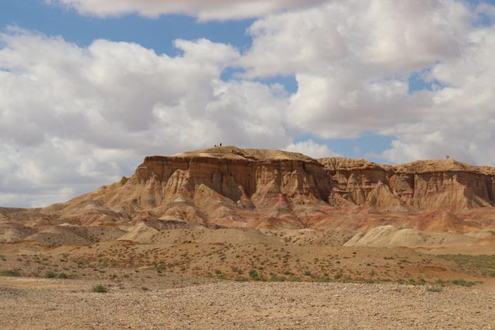 Olioga M