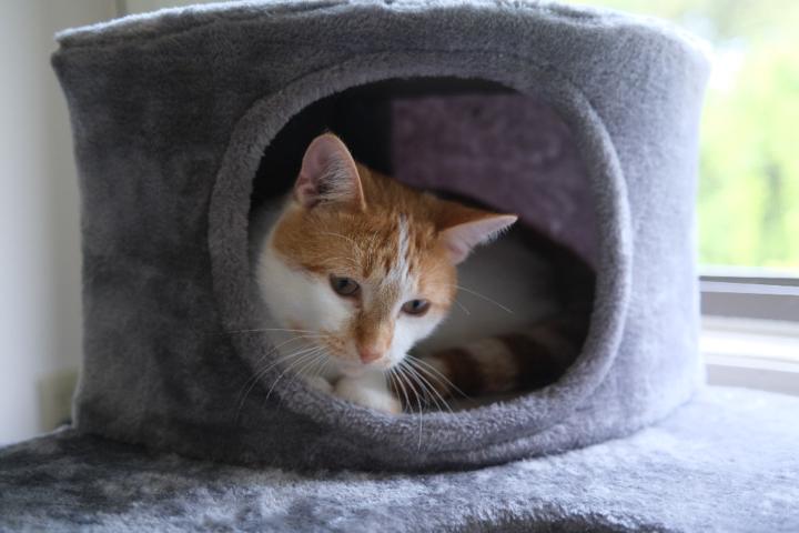 Ryan van der Heijden