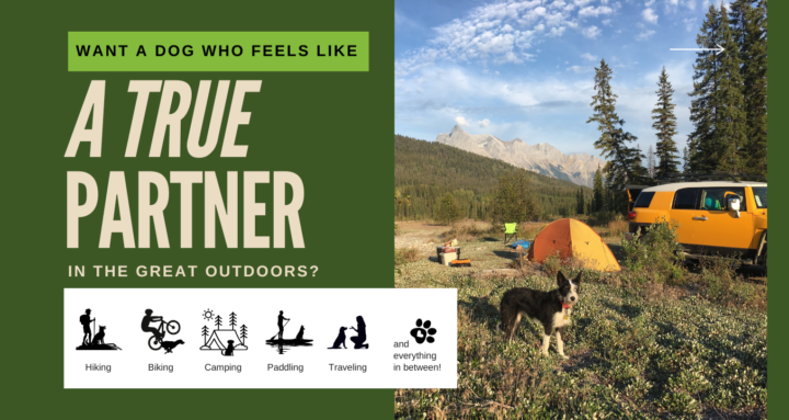 🏆 Member Spotlight — This Week