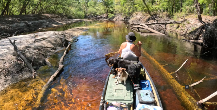 Back from the river.