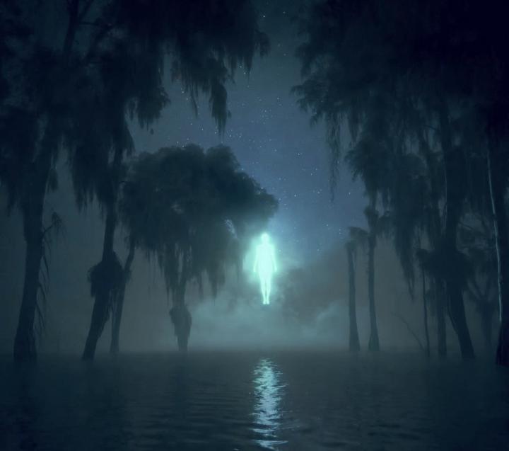 They Called Them Fog Wraiths [OKEFENOKEE]