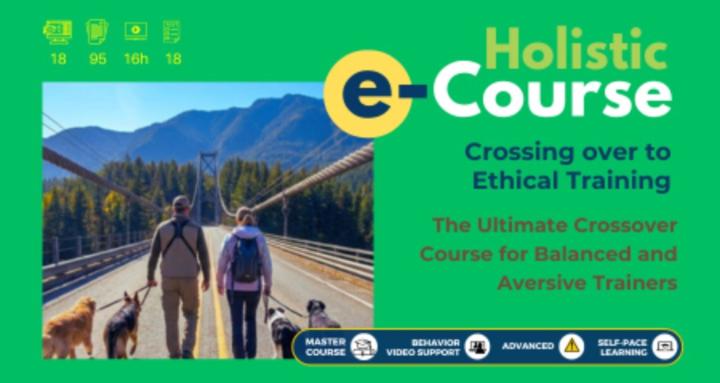 Ethical Crossover Trainer