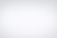 Vigitha Chanmuganathan