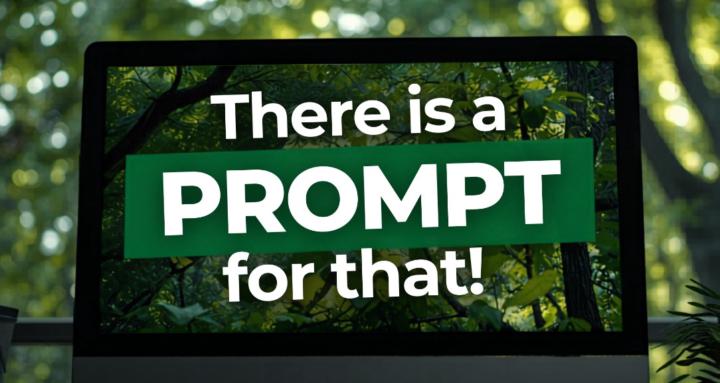 There Is A PROMPT For That