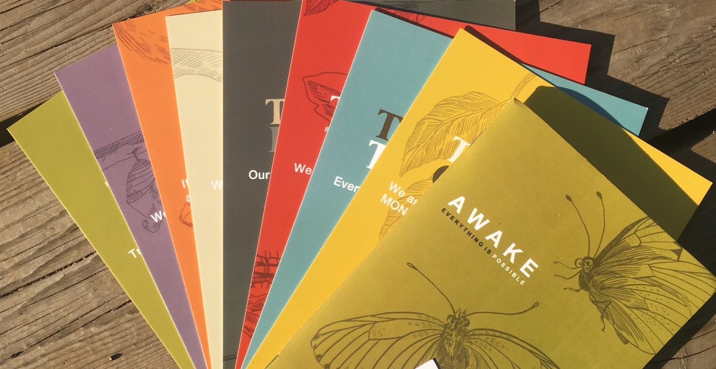 The Awake Protocol - Level One