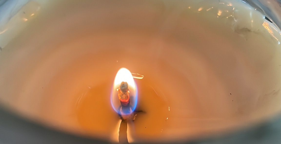 The Way Back Forward - Practitioner Trainings