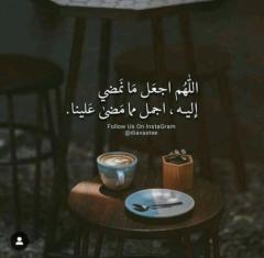 Zaki El