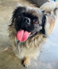 Ernesto Manuel Carbonell González