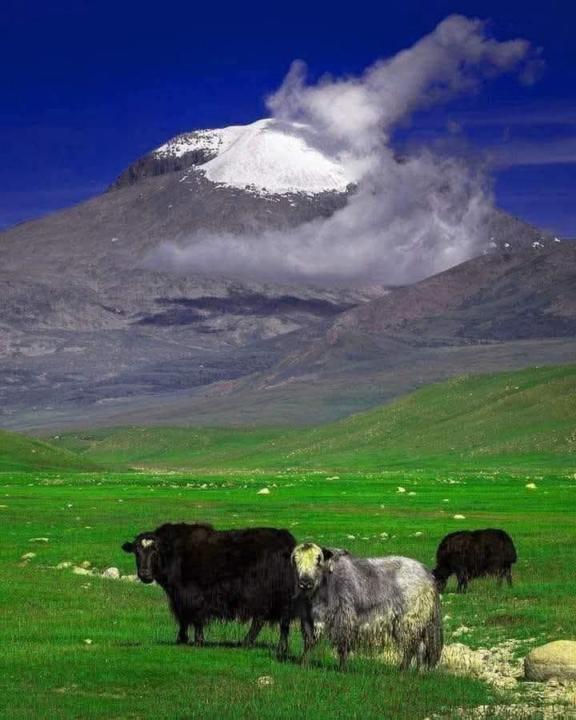 Долгорсүрэн Бат амгалан