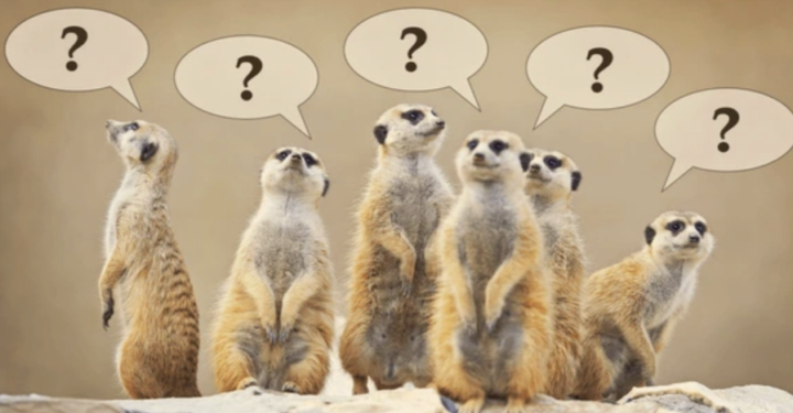 Q&A-Grow in Era of AI using AI