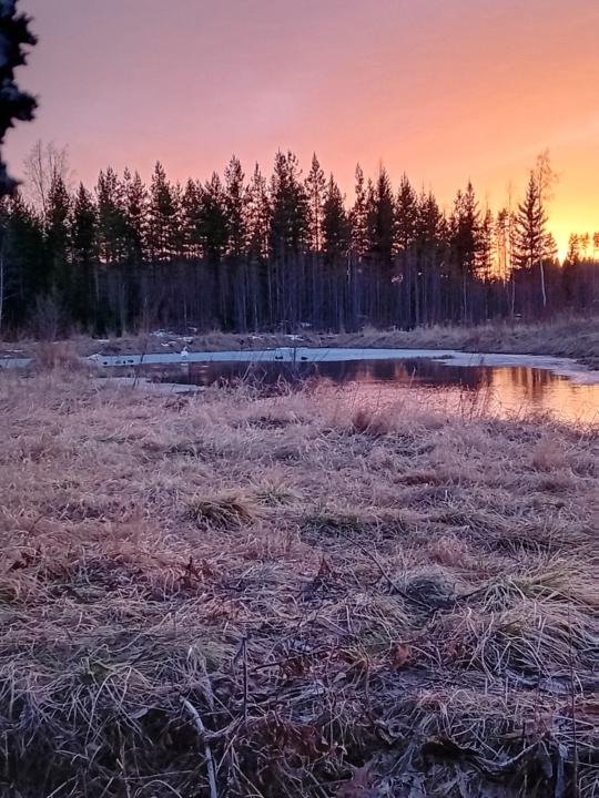 Juhana Sillanpää