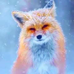 廖 晴君