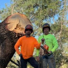 Forrest Whittaker - Allen Tippetts