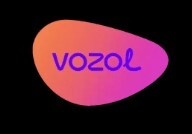 Vozol Store
