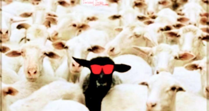 Targeted Individuals