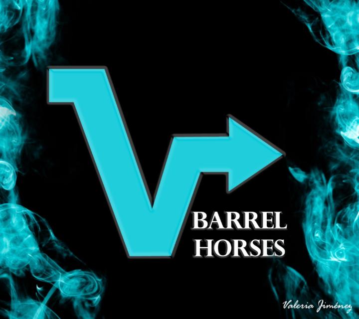 Vbarrel Horses