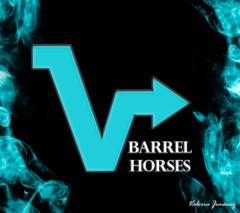 Vbarrel Horses