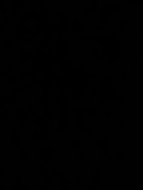 علي المحزري