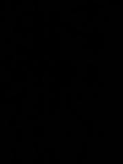 علي المحزري