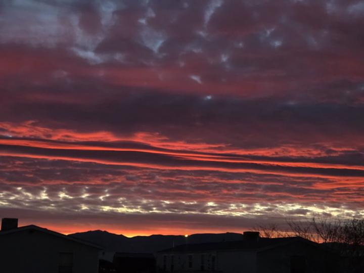 Michelle Mirabal-jojola