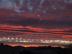 Michelle Mirabal-jojola