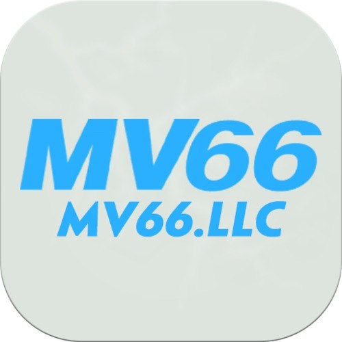 Mv Llc