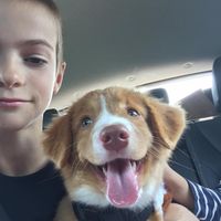 Oscar Jareld jørgensen