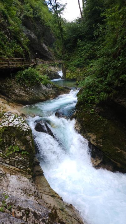 Tadej Milosavljevič