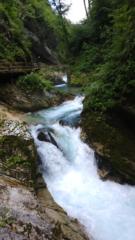 Tadej Milosavljevič