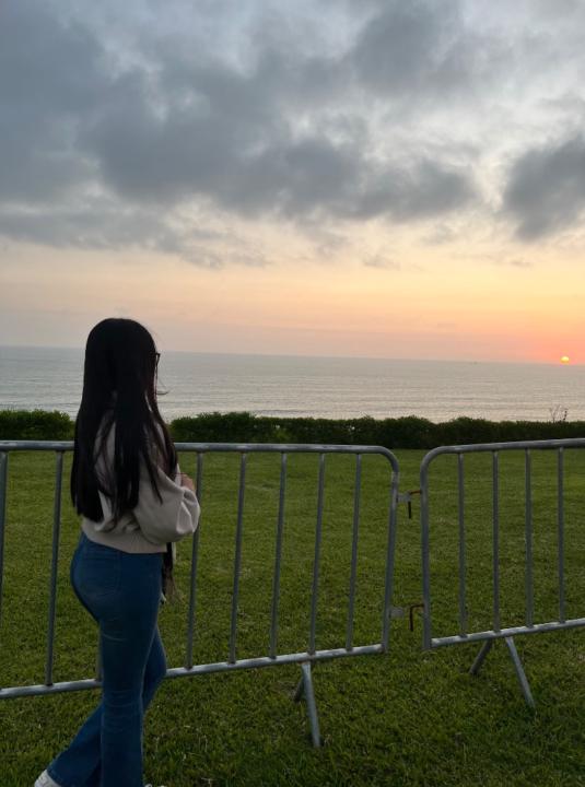 Figueroa Morales Dulce Lucero