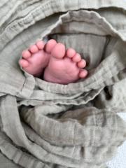 Madeleine H