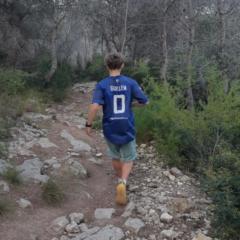 Guillem Cuesta