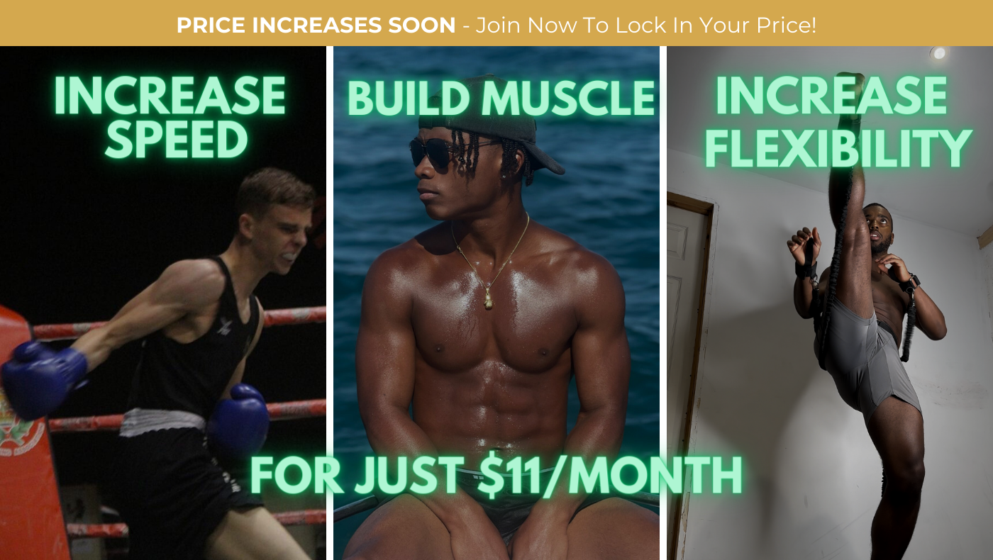 Ji Combat Mastery