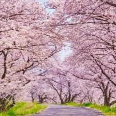 Hiroshi Nagatoishi