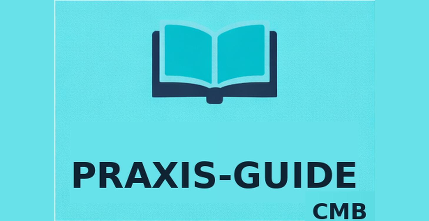 Praxis-Guide zur Challenge-Roadmap