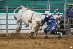 Seth Reed